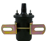 BOBINA DE TOYOTA RESIST INT 3 PING-MACHITO 90919-02168