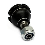 MUÑON SUPERIOR PARA FORD 79/81 K8310 P-10334
