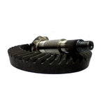 PIÑON Y CORONA DANA 60 41X8